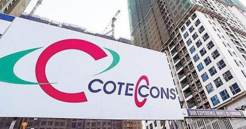 Coteccons đặt mục tiêu lãi 430 tỷ đồng năm 2025, muốn tăng gấp đôi thù lao lãnh đạo