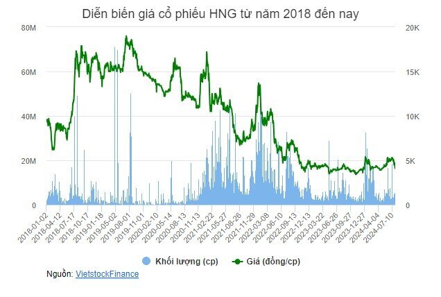 HNG: Hành trình từ vốn hóa tỷ USD đến hủy niêm yết