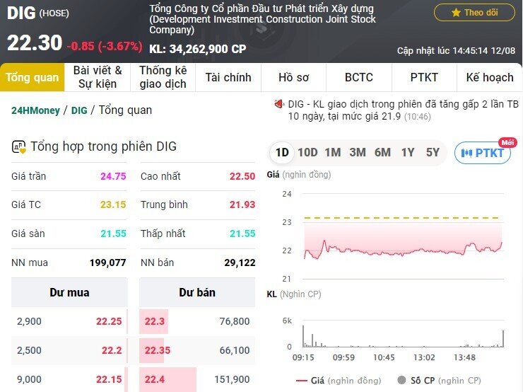 NĐT thi nhau bán tháo cổ phiếu DIG