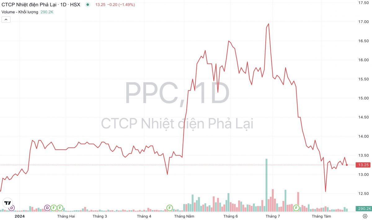 Cơ Điện Lạnh (REE) “ế” 2 triệu cổ phiếu PPC khi muốn thoái vốn khỏi Nhiệt điện Phả Lại