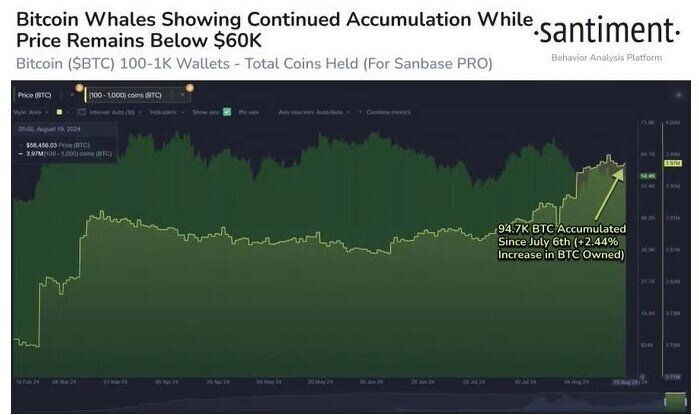 Michael Saylor nhận định ‘Bitcoin sẽ tăng mãi mãi”, cá voi tiếp tục gom BTC