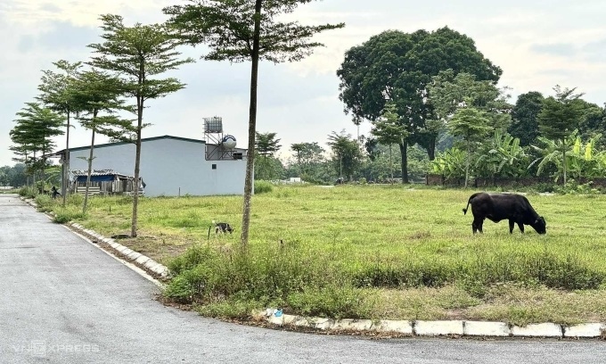 Chiêu đẩy giá đất nền huyện ven 'ăn theo' đấu giá