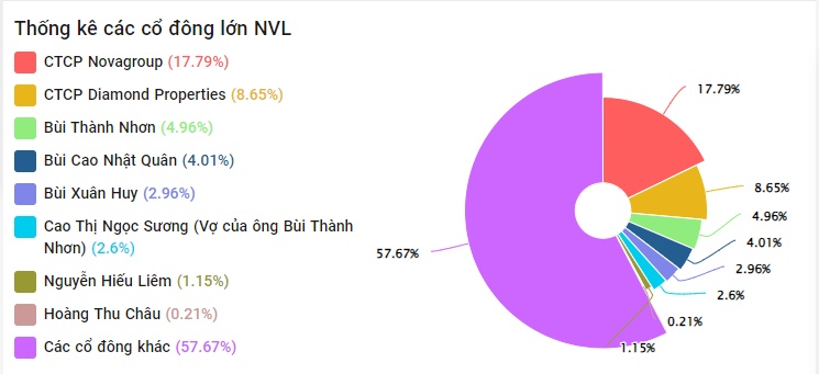 Nhóm ông Bùi Thành Nhơn có nguy cơ mất quyền phủ quyết khi bán ra gần 22% vốn Novaland