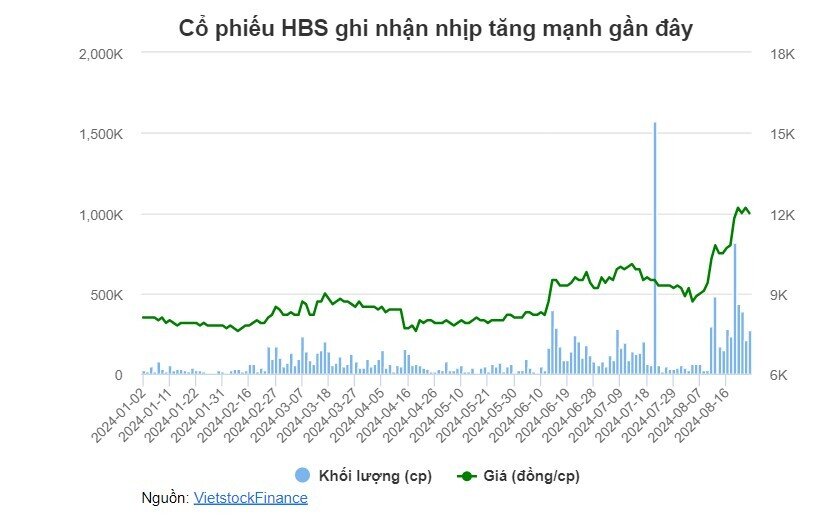 Một Tổng Giám đốc sắp chi gần 100 tỷ để mua lượng lớn cổ phần Chứng khoán Hòa Bình