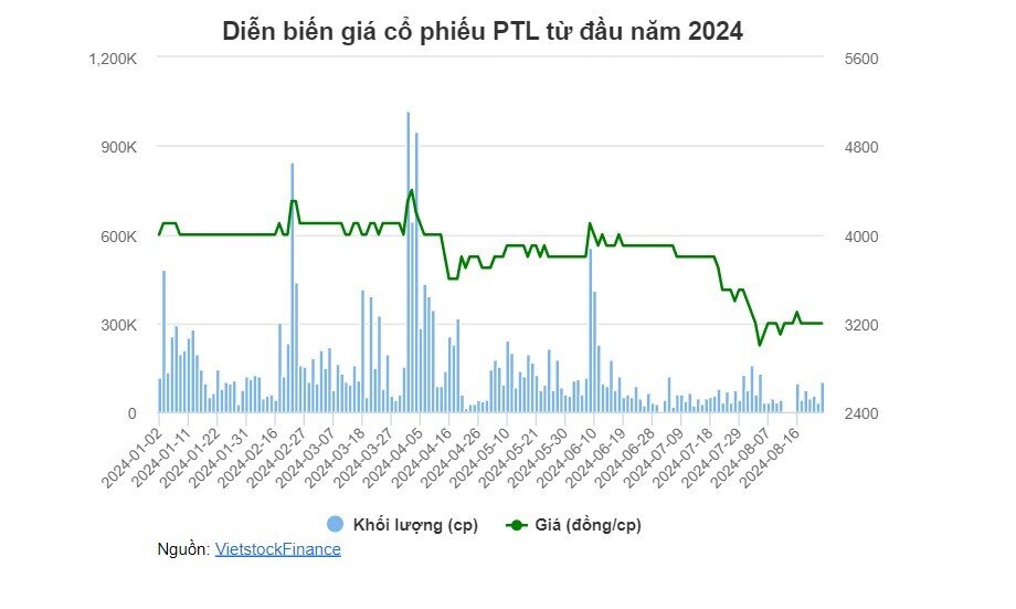 Tiếp tục lỗ ròng gần 28 tỷ đồng trong nửa đầu năm, PTL lại đổi Tổng Giám đốc mới