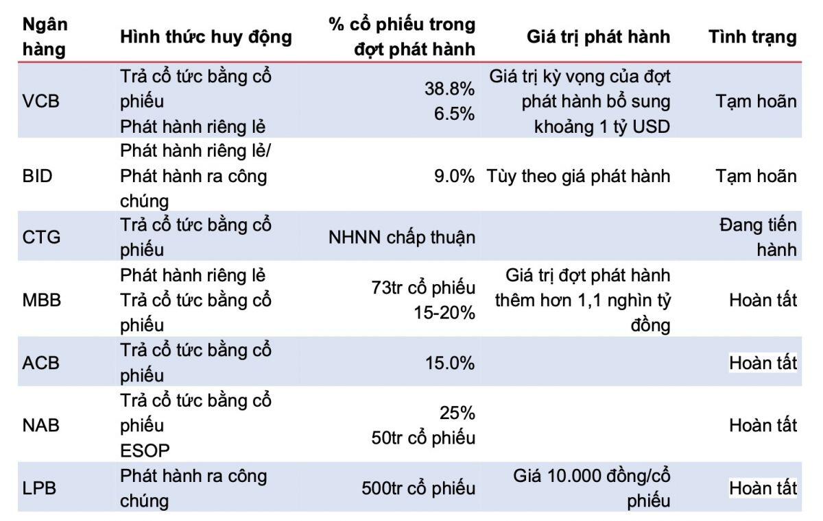 Kế hoạch phát hành riêng lẻ của Vietcombank (VCB), BIDV (BID) sẽ phải dời sang năm 2025