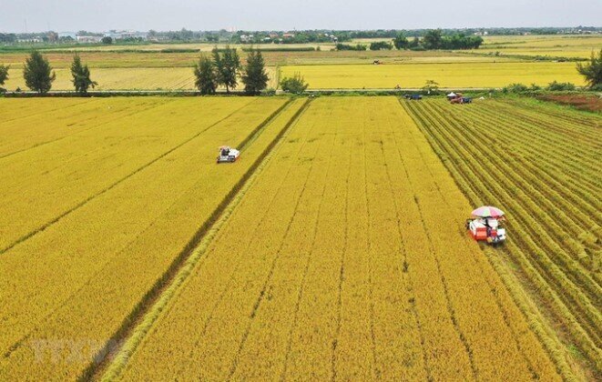 Luật mới 'cởi trói' cho đất nông nghiệp, nhà đầu tư có nên xuống tiền?