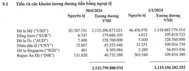 Đến cuối quý 2, Hòa Phát (HPG) đang nắm giữ gần 84 triệu USD