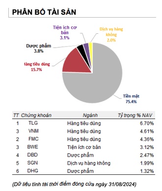 SGI Capital cảnh báo về những đợt bán tháo nhanh, mạnh trên thị trường chứng khoán