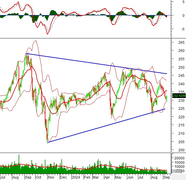 Vietstock Weekly 16-20/09/2024: Rủi ro ngắn hạn vẫn còn