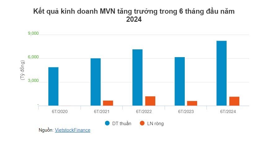 Vinalines chốt chi hơn 46 tỷ đồng cổ tức trong tháng 10, cổ đông Nhà nước hưởng lợi lớn