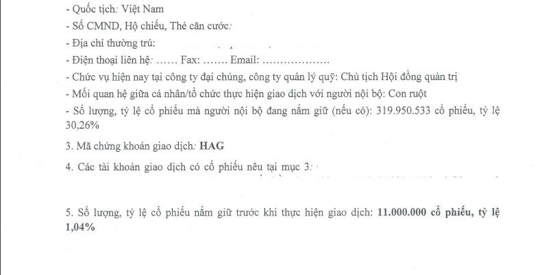 Con gái ông Đoàn Nguyên Đức chi khoảng 21 tỷ 'bắt đáy' cổ phiếu HAG