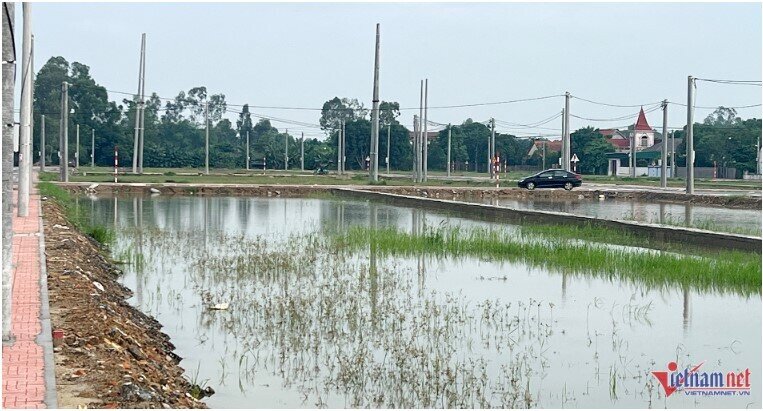 Đấu giá 114 lô đất gần đại lộ Vinh - Cửa Lò: 'Chưa bao giờ ô tô về xã nhiều thế'