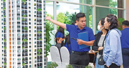 Đánh thuế người nhiều nhà