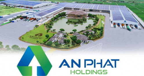 Lãnh đạo chủ chốt thoái vốn, An Phát Holdings hiện ra sao?