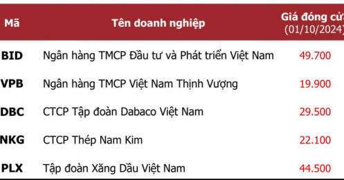 5 cổ phiếu có mức sinh lời hấp dẫn trong tháng 10