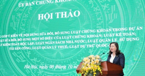 Sửa Luật Chứng khoán: Sẽ xử nghiêm các hành vi gian lận, lừa đảo