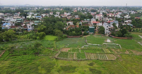 Choáng váng khi giá đất nền vùng ven Hà Nội "nhảy múa"