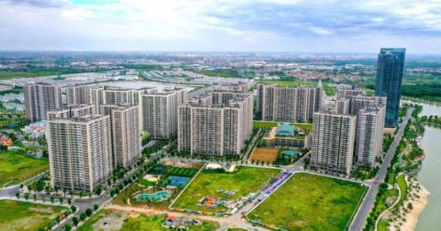 Chung cư mở bán năm 2024 ước đạt 30.000 căn, cao nhất 5 năm qua