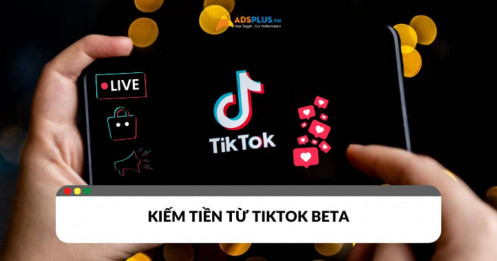 Cách kiếm tiền từ TikTok Beta là gì?