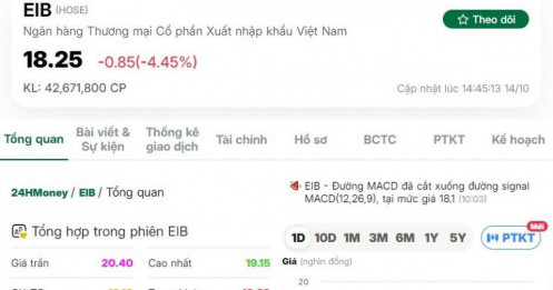 'Cá mập' tung 23 lệnh thỏa thuận, sang tay 57 triệu cổ phiếu EIB