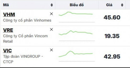 Cổ phiếu ‘họ’ Vingroup nổi sóng sau tin vui
