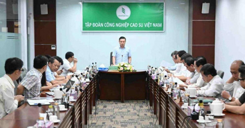 Cao su Việt Nam (GVR) kiến nghị xem xét chủ trương đầu tư các khu công nghiệp vùng Đông Nam Bộ