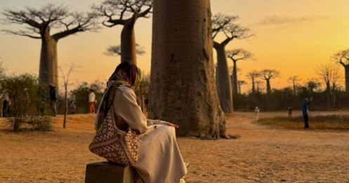 Lạc vào thế giới cổ tích trên đại lộ Baobab ở Madagascar