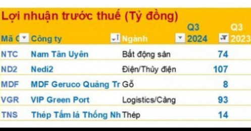 Cập nhật KQKD quý 3 sáng 15/10: TNS báo LNTT 9 tháng gấp 277 lần cùng kỳ, DN điện lãi kỷ lục