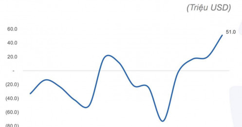 Tiền đổ vào các ETF Đông Nam Á mạnh nhất từ đầu năm, riêng Việt Nam bất ngờ hút gần 6 triệu USD từ DB FTSE