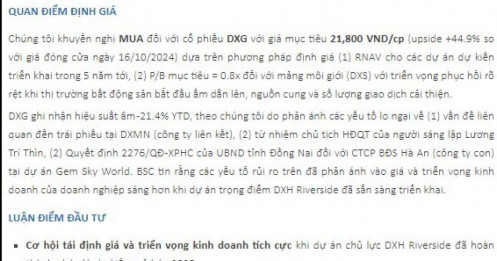 Dự án trọng điểm được ‘mở khoá’, cổ phiếu DXG được kỳ vọng tăng hơn 35%