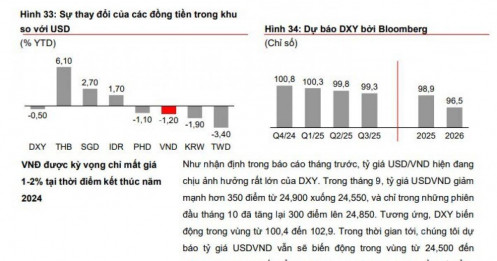 Đồng VND sẽ chỉ mất giá 1-2% tại thời điểm kết thúc năm 2024?