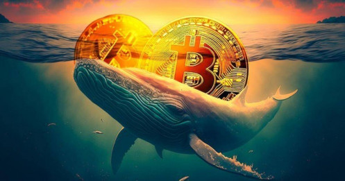 'Cá voi cổ đại' Bitcoin thức tỉnh gây chấn động cộng đồng tiền mã hóa