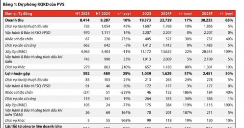 Cổ phiếu PVS được khuyến nghị tích luỹ nhờ hưởng lợi từ xu hướng phát triển điện gió ngoài khơi