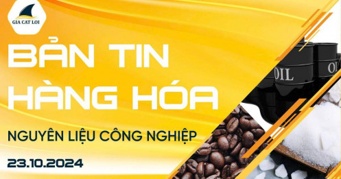 Bản Tin Nhóm Nguyên Liệu Công Nghiệp Ngày 23/10/2024