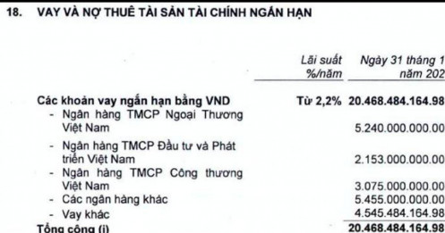 Ngân hàng nào là chủ nợ lớn nhất của VNDirect?