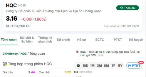 Một cổ phiếu bất động sản trượt về đáy 1 năm