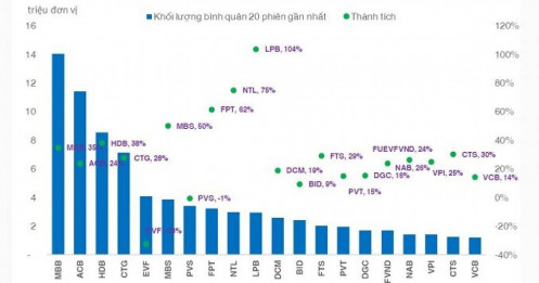 Thị trường chứng khoán có gần 20% mã lập đỉnh thời đại từ đầu năm 2024