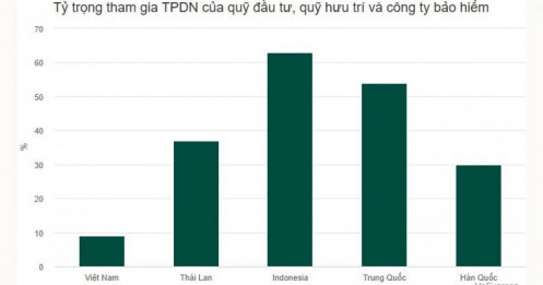 Vì sao hạn chế nhà đầu tư cá nhân tham gia trái phiếu riêng lẻ?