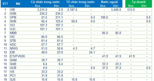 Ai đã mua lại hơn 300 triệu cổ phiếu VIB trong phiên 29/10?