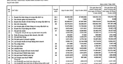 Vingroup báo lãi sau thuế hơn 2.000 tỷ đồng trong quý 3