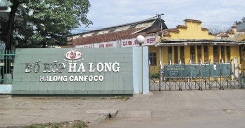 Đồ hộp Hạ Long kéo lợi nhuận sau bão Yagi