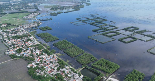 Về miền sông nước, chạm vào vẻ đẹp hoang sơ của phá Tam Giang