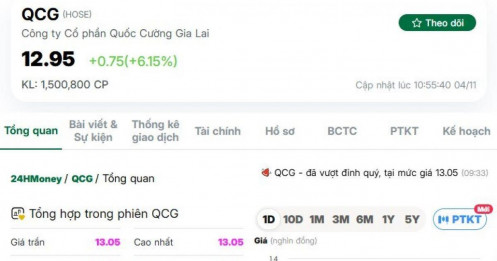 Cổ phiếu QCG "bốc đầu" sau khi báo lãi tăng bằng lần