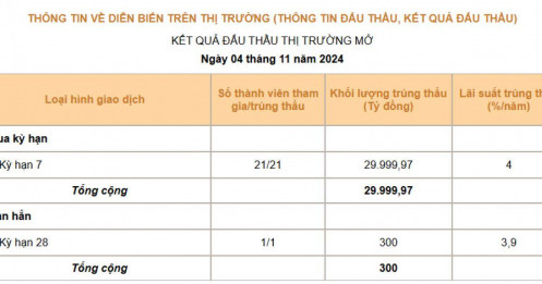 Ngân hàng Nhà nước bơm ròng gần 24.000 tỷ đồng khi tỷ giá 'nhảy múa' trước bầu cử Mỹ