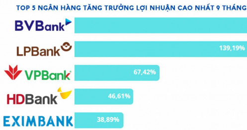 5 ngân hàng tăng trưởng lợi nhuận cao nhất 9 tháng năm 2024