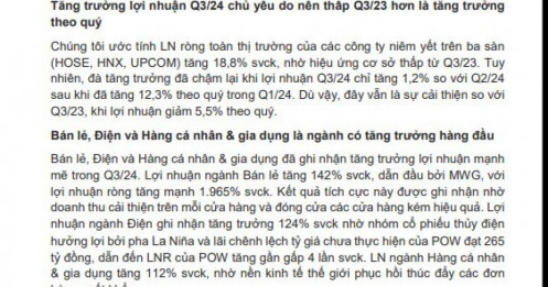 Toàn cảnh bức tranh lợi nhuận quý 3/2024: Loạt nhóm ngành trở thành "ngôi sao tăng trưởng" với lợi nhuận tăng "bằng lần"