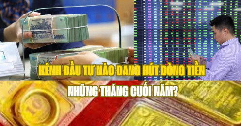 Kênh đầu tư nào đang hút dòng tiền những tháng cuối năm?