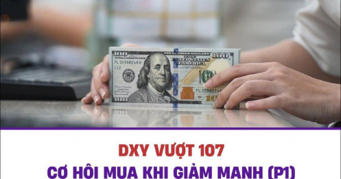 Bài viết HAY của chuyên gia