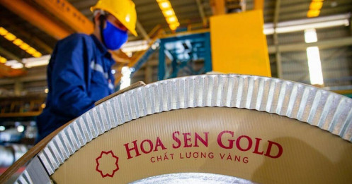 Update về Hoa Sen (HSG)